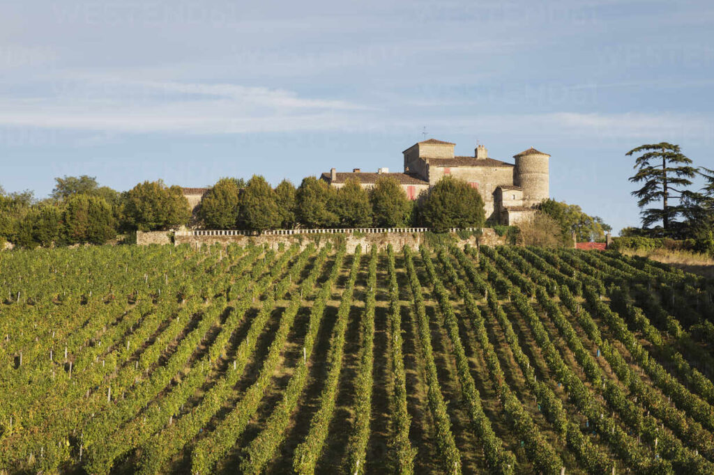 Bordeaux Wine Region (Gironde)
