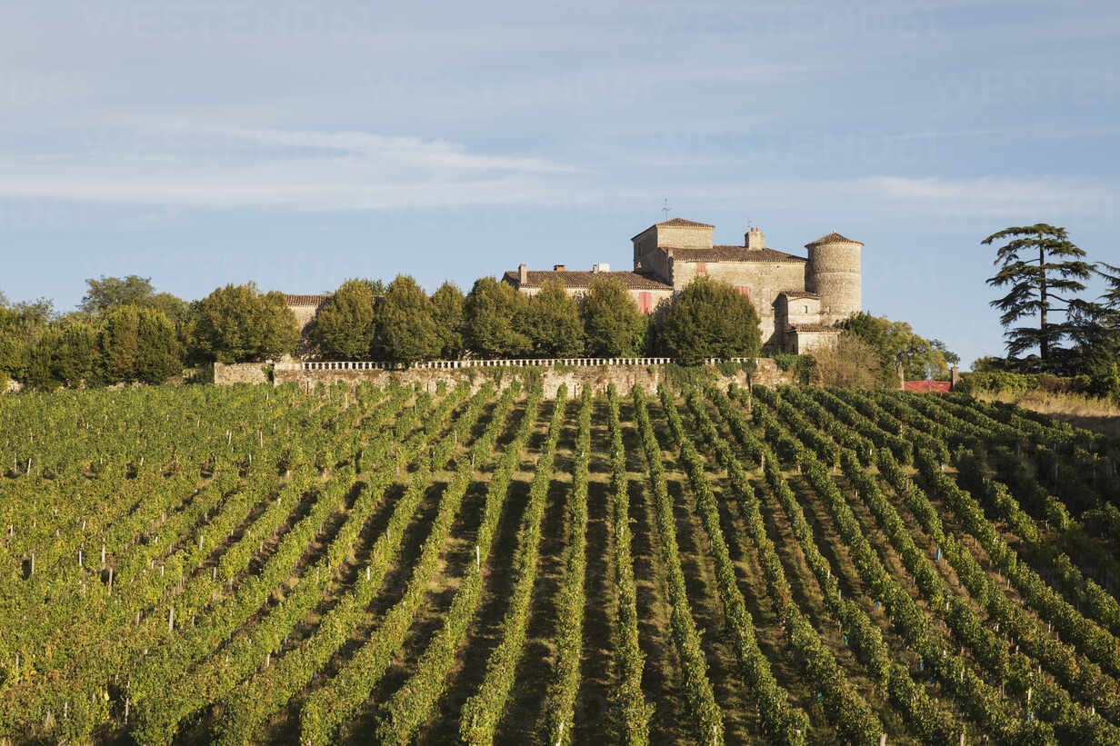 Bordeaux Wine Region (Gironde)