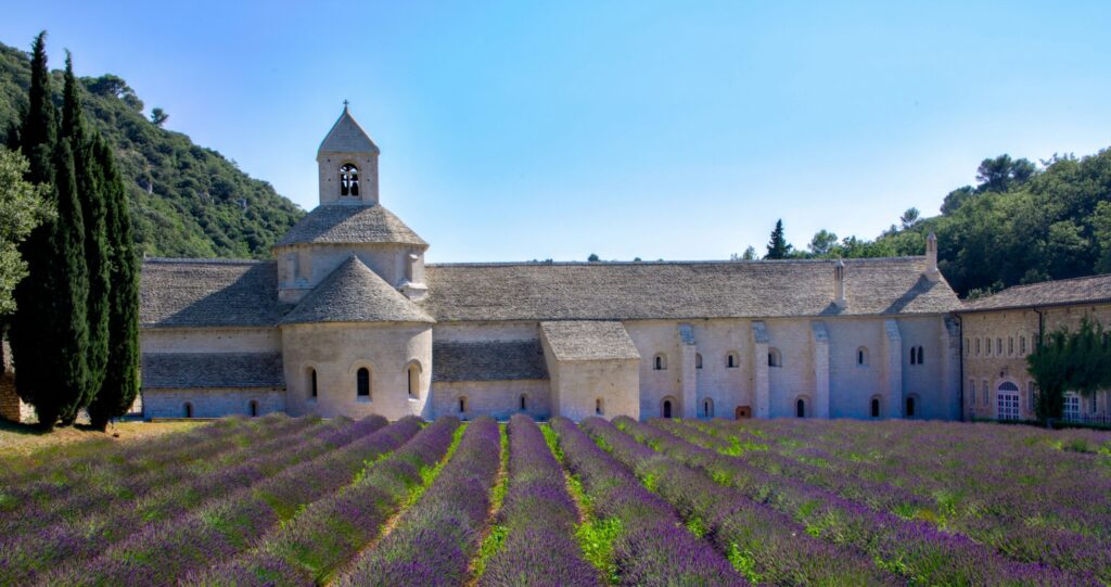 Mas in Provence for sale