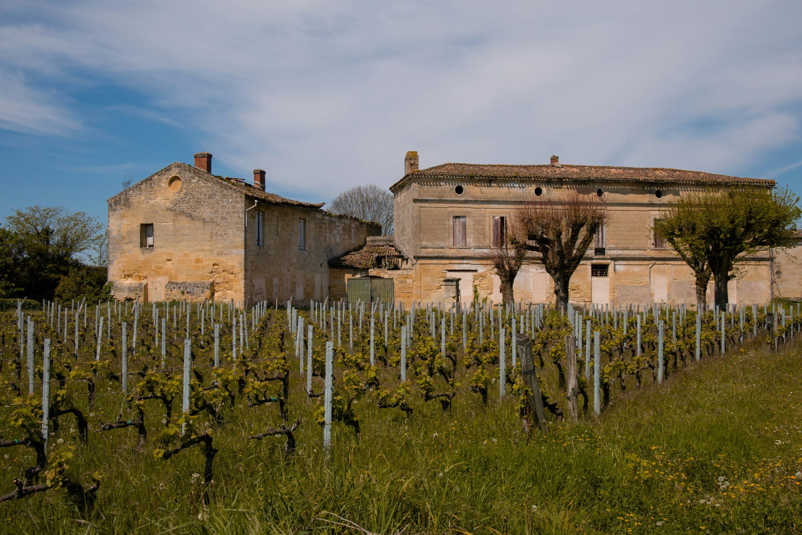buyers agent Saint Emilion 2