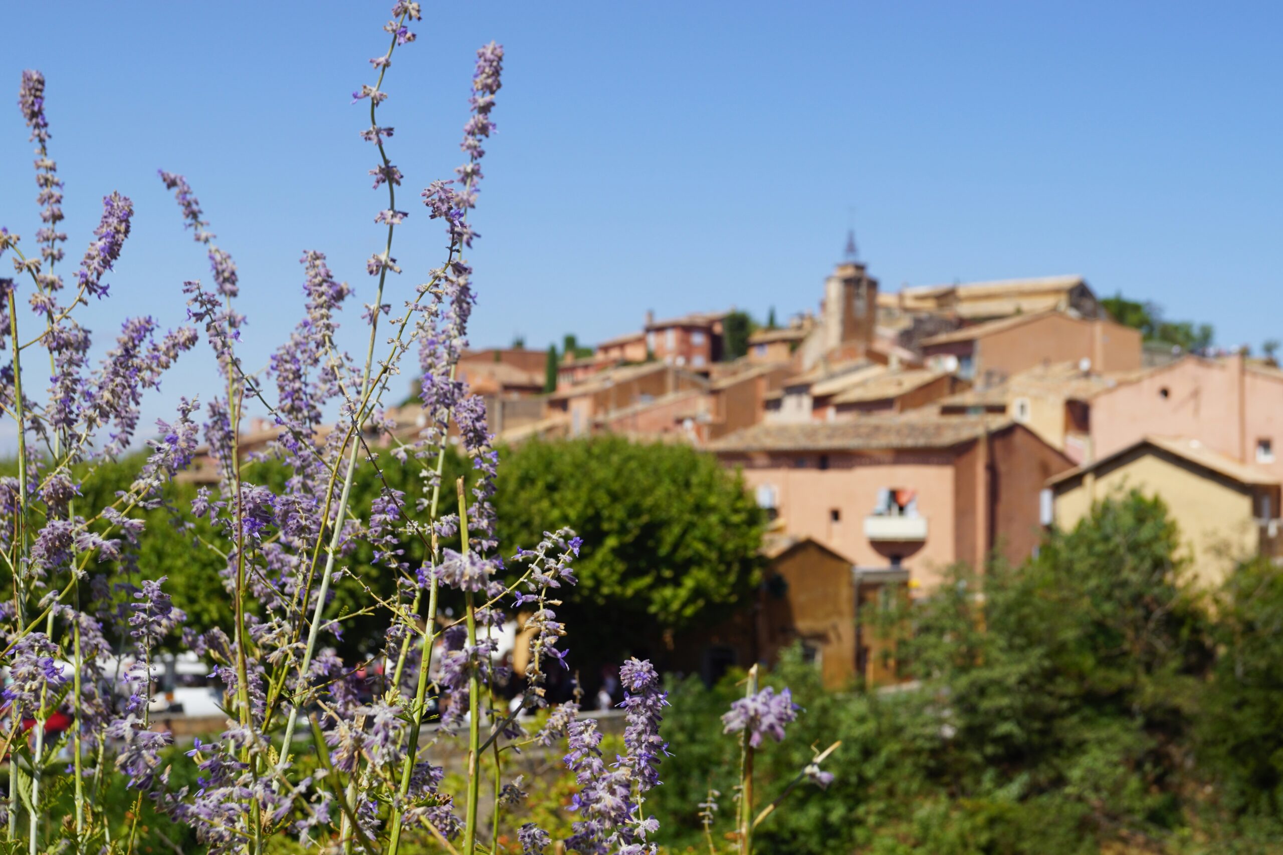 buyers agent Roussillon France
