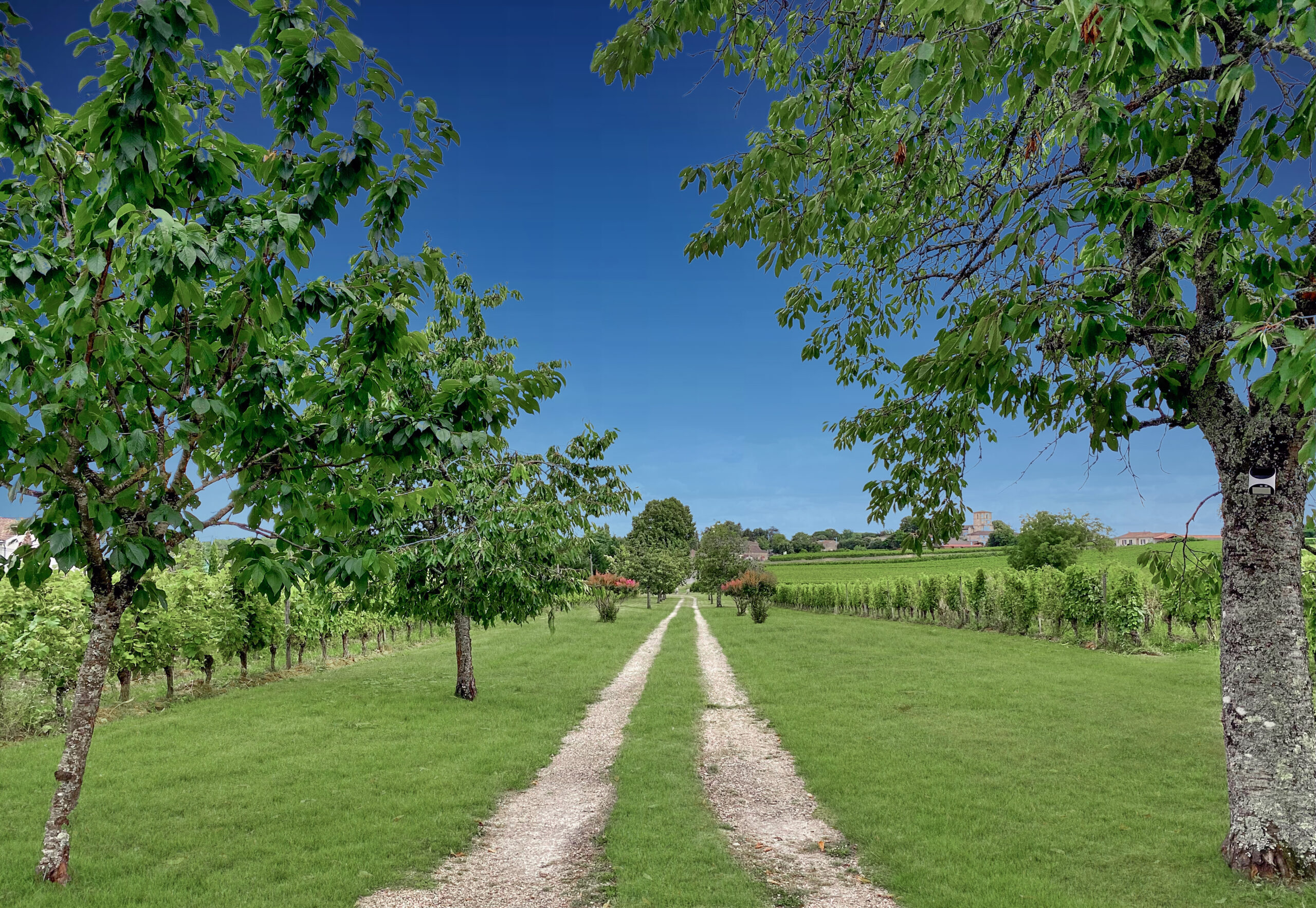 manor home near Saint Emilion in The Gironde
