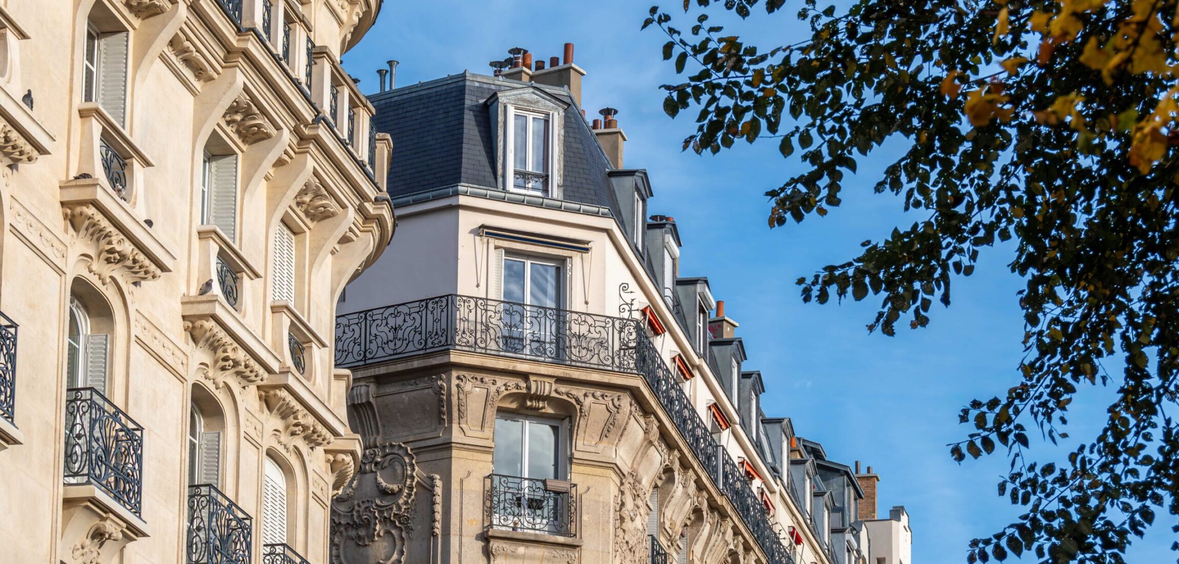 Façades d'immeubles résidentiels parisiens classiques le long d'une avenue bordée d'arbres. Concept de marché immobilier d'habitation pour les logements anciens en France et à Paris