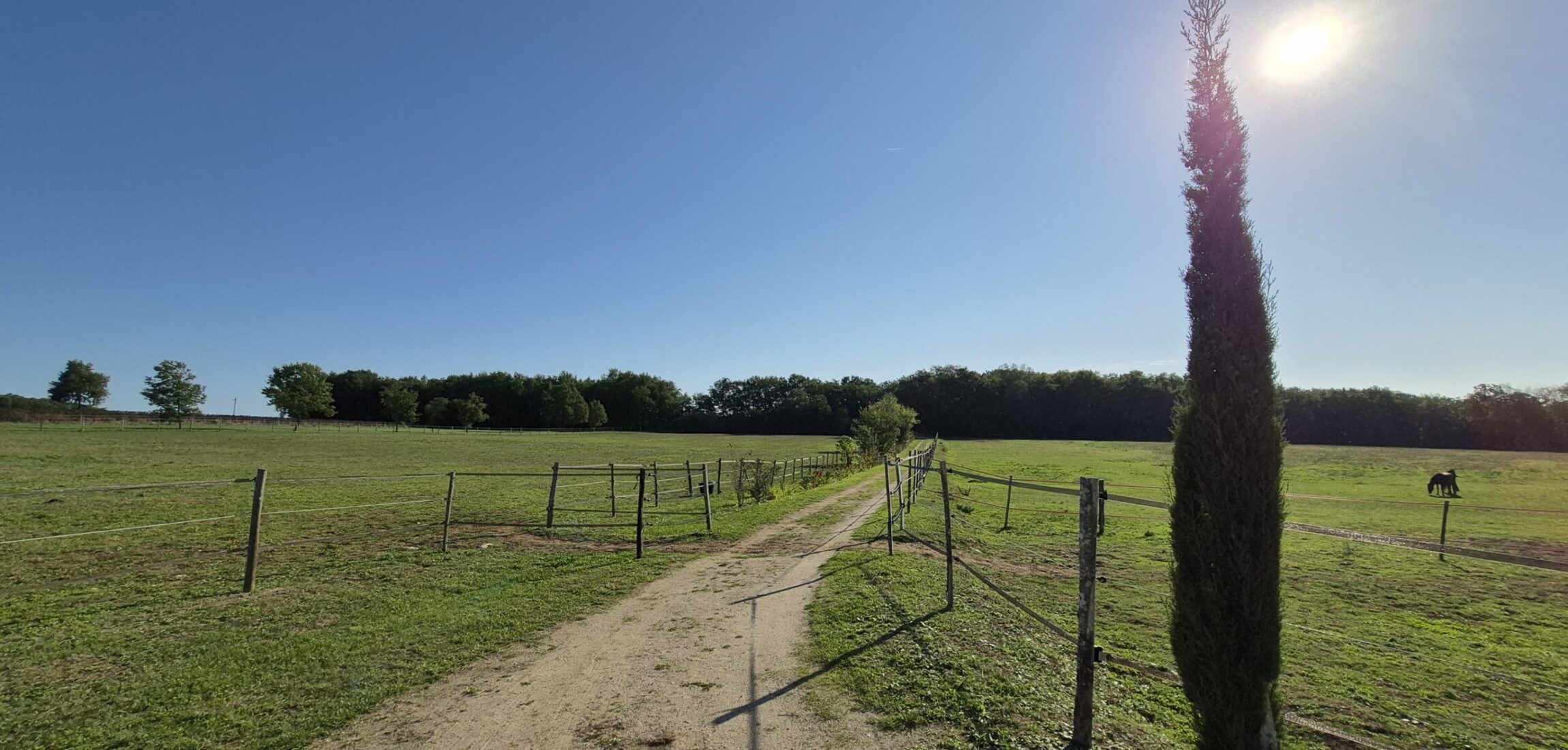 Stone Character Property For Sale in Tarn-et-Garonne, South West France